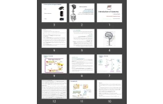 پاورپوینت Introduction of Anatomy