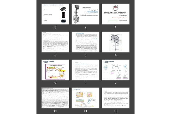 پاورپوینت Introduction of Anatomy