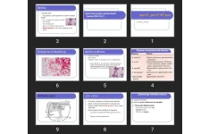 پاورپوینت Spore forming Gram-positive bacilli Aerobic (Bacillus)