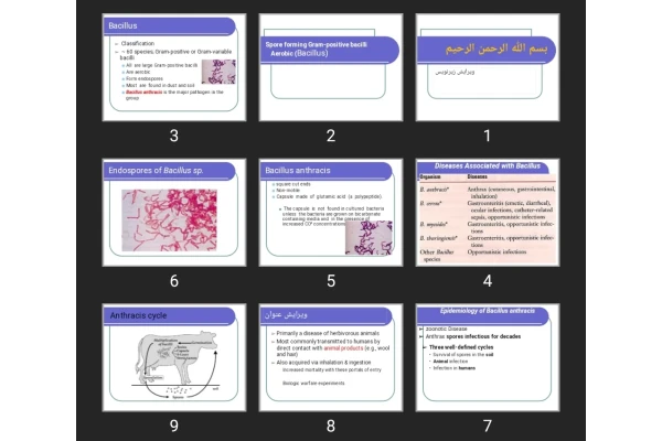 پاورپوینت Spore forming Gram-positive bacilli Aerobic (Bacillus)