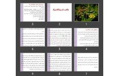 پاورپوینت مکتب نئوکلاسیک