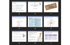 پاورپوینت هورمون های هیپوفیز و هیپوتالاموس Hypothalamus and pituitary gland hormones