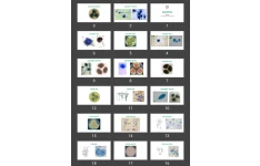 پاورپوینت Saprophytes