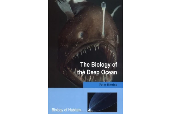 بیولوژی اعماق اقیانوس. زندگی موجودات کف دریا (زبان انگلیسی)