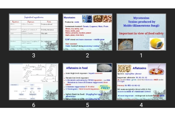پاورپوینت Mycotoxins