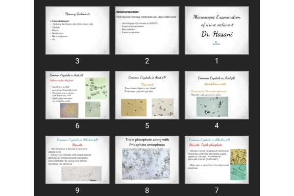 پاورپوینت Microscopic Examination