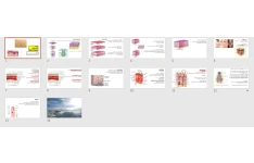 پاورپوینت بافت پوست