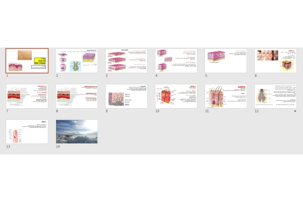 پاورپوینت بافت پوست