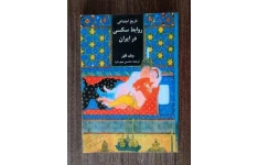 کتاب تاریخ روابط جنسی در ایران/ ویلم فلور