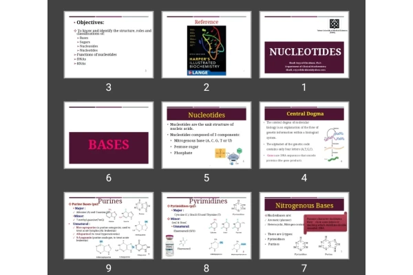 پاورپوینت nucleotides