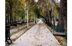 کوچه باغ 1