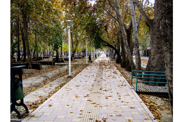 کوچه باغ 1