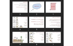 پاورپوینت سیستم کمپلمان