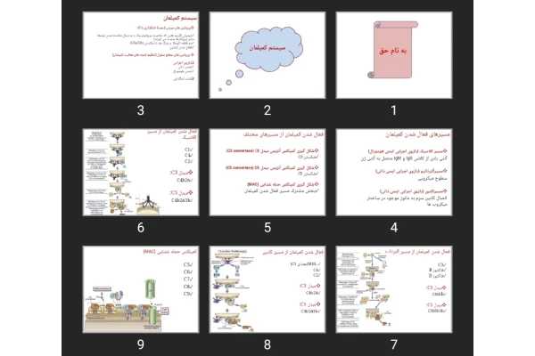 پاورپوینت سیستم کمپلمان