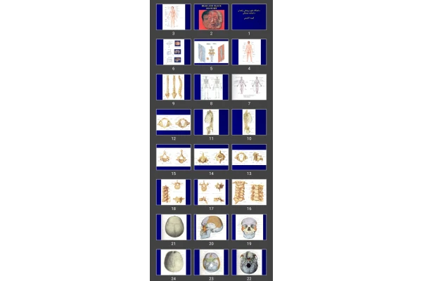 پاورپوینت HEAD AND NEACK ANATOMY