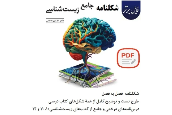 شکلنامه زیست جامع کنکور 1404 (اشکان هاشمی)
