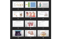 پاورپوینت Physical Examination in Pregnancy