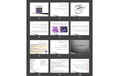 پاورپوینت شکل و ساختار باکتری ها