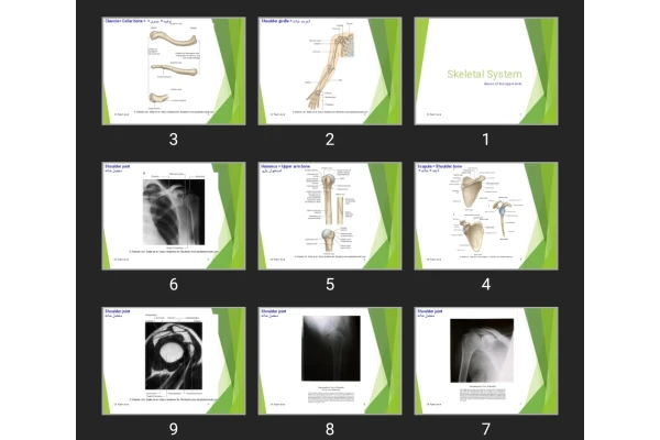 پاورپوینت Skeletal System
