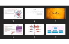 پاورپوینت Cardiovascular system histology