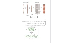 جزوه بیوشیمی پزشکی.pdf (نسخه کامل)✅