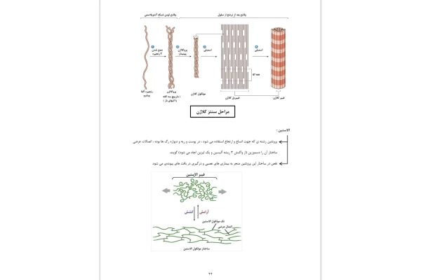 جزوه بیوشیمی پزشکی.pdf (نسخه کامل)✅