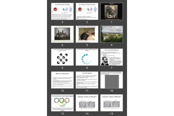 پاورپوینت فصل پنجم احساس و ادراک Perceiving Faces & Objects