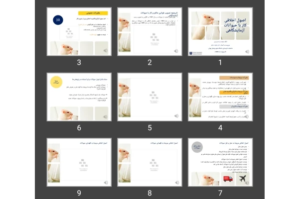 پاورپوینت اصول اخلاقی کار با حیوانات آزمایشگاهی