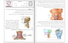 جزوه تنفس جلسه ۲