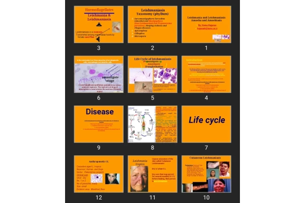 پاورپوینت Leishmania and Leishmaniasis Amoeba and Amoebiasis