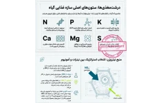 فصل سوم-اصول بیوتکنولوژی گیاهی دکتر محمد فارسی_محیط کشت ها