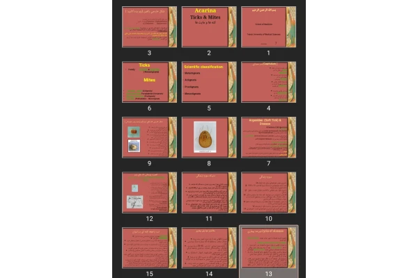 پاورپوینت Ticks & Mites کنه ها و مايت ها