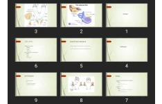 پاورپوینت Vertigo