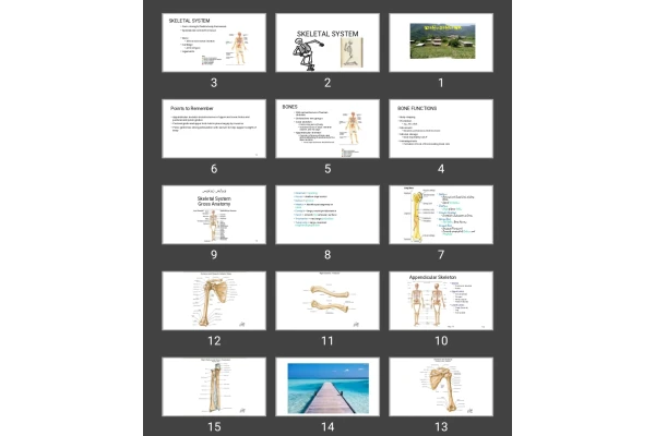 پاورپوینت SKELETAL SYSTEM