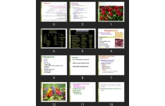 پاورپوینت Streptococci