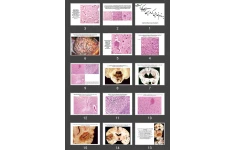 پاورپوینت Central Nervous System