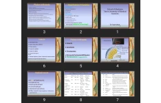 پاورپوینت Introduction & Classification