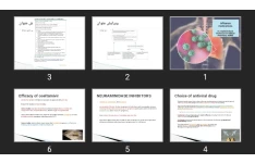 پاورپوینت Influenza medications