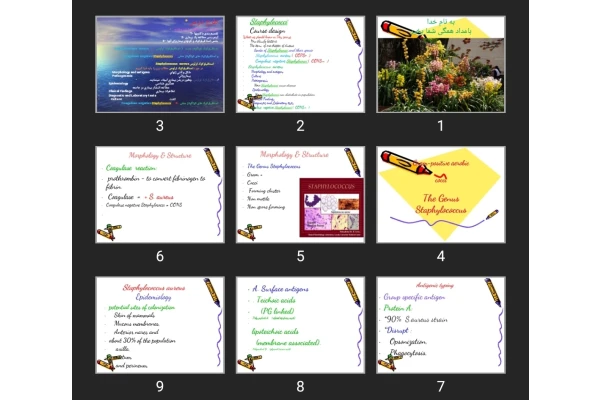 پاورپوینت staphilococci