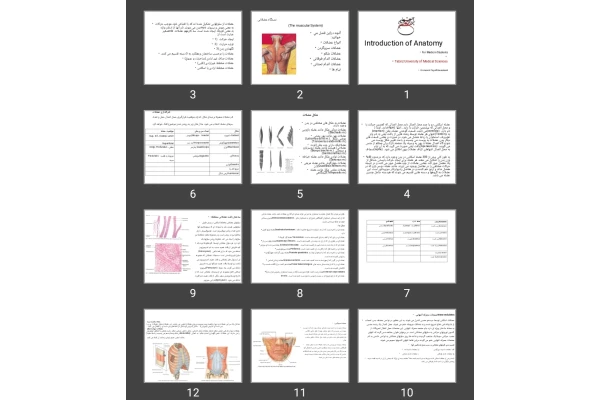 پاورپوینت مقدمه ای بر انواع سیستم های بدن Introduction of Anatomy