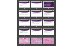 پاورپوینت Central nervous system trauma and ischemia