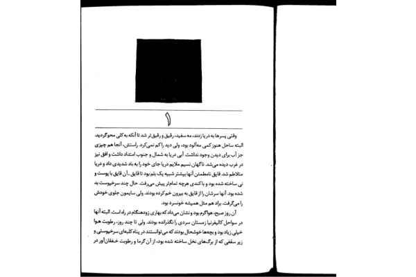 کتاب رقص اژدها  📖 نسخه کامل✅