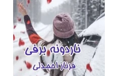 رمان عاشقانه ناردونه برفی