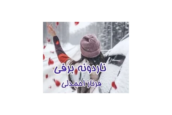 رمان عاشقانه ناردونه برفی