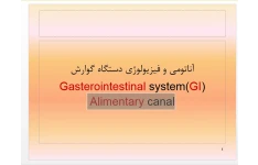   پاورپوینت آناتومی و فیزیولوژی دستگاه گوارش