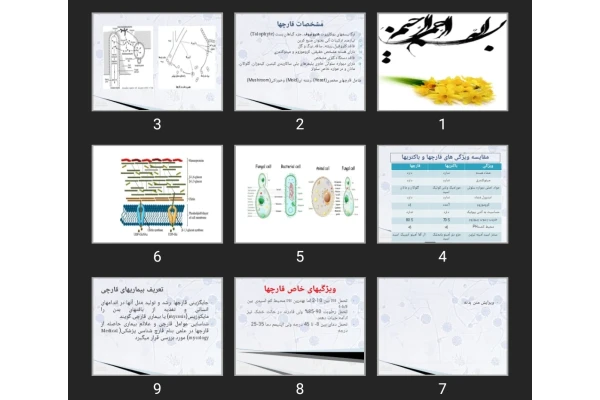 پاورپوینت قارچ شناسی