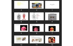 پاورپوینت انگل عملی