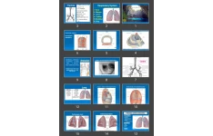 پاورپوینت Respiratory System