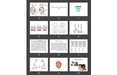 پاورپوینت دوقلویی