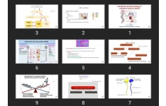 پاورپوینت Introduction to Pharmacology of Autonomic Nervous System